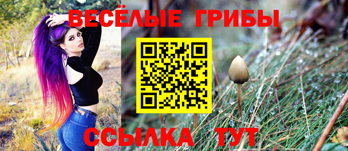 Анапа  Псилоцибиновые грибы MAGIC MUSHROOMS  Вход с VPN 